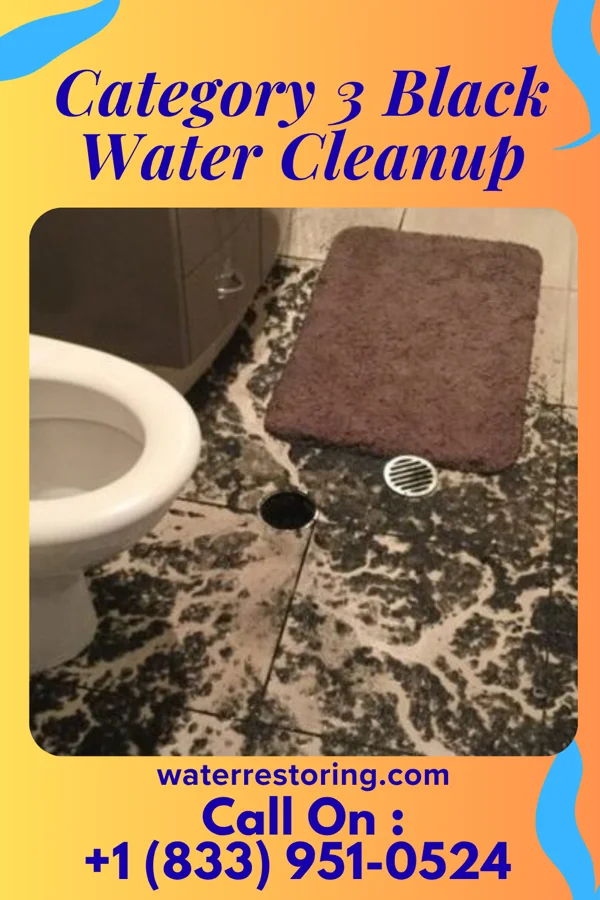Category 3 Black Water Cleanup in Rib Lake, WI
