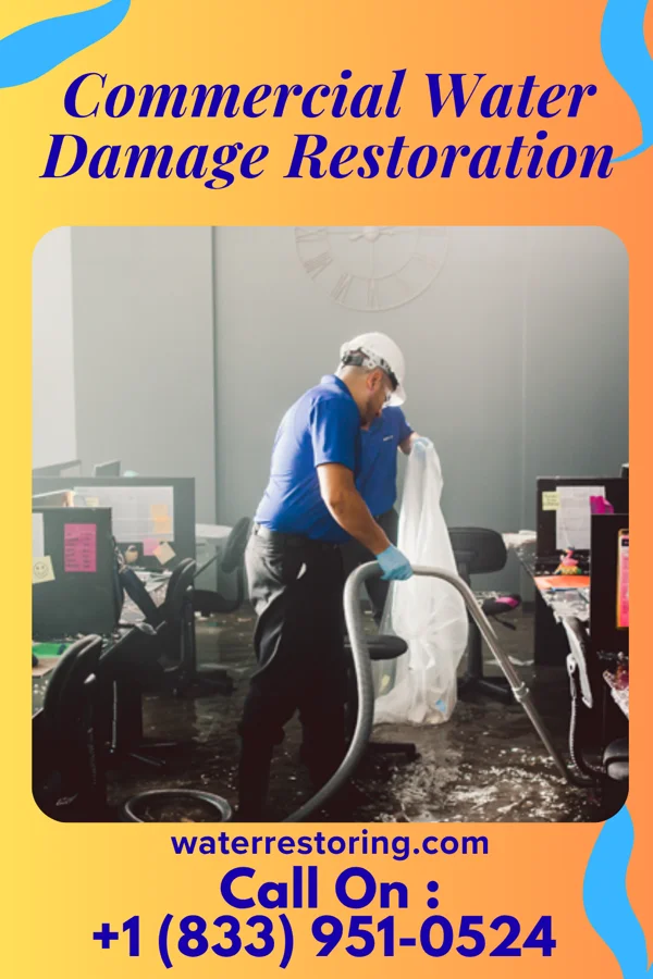 Commercial Water Damage Restoration in Rib Lake, WI
