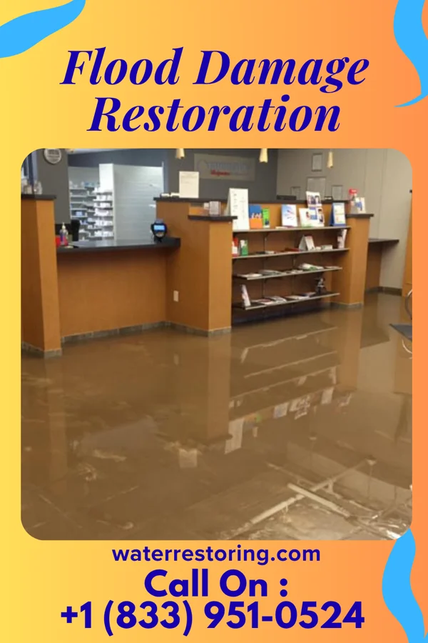 Flood Damage Restoration in Rib Lake, WI