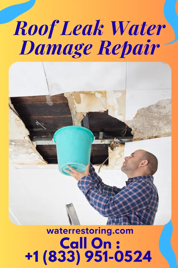 Roof Leak Water Damage Repair in Rib Lake, WI
